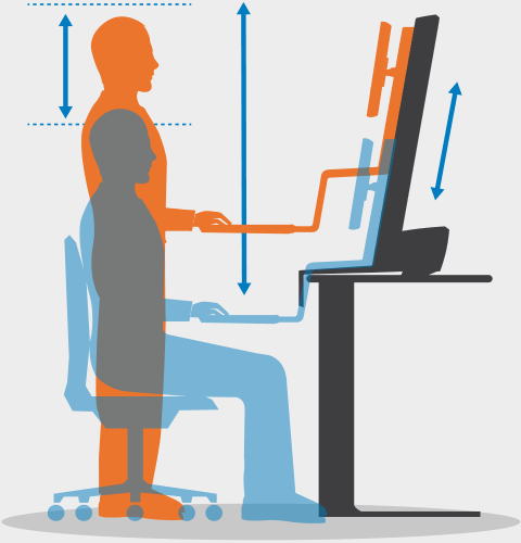 Sit-Stand Movement